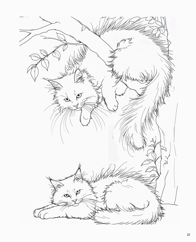 Розмальовка для дорослих “Кото Терапія” — 50 сторінок - Зображення 6